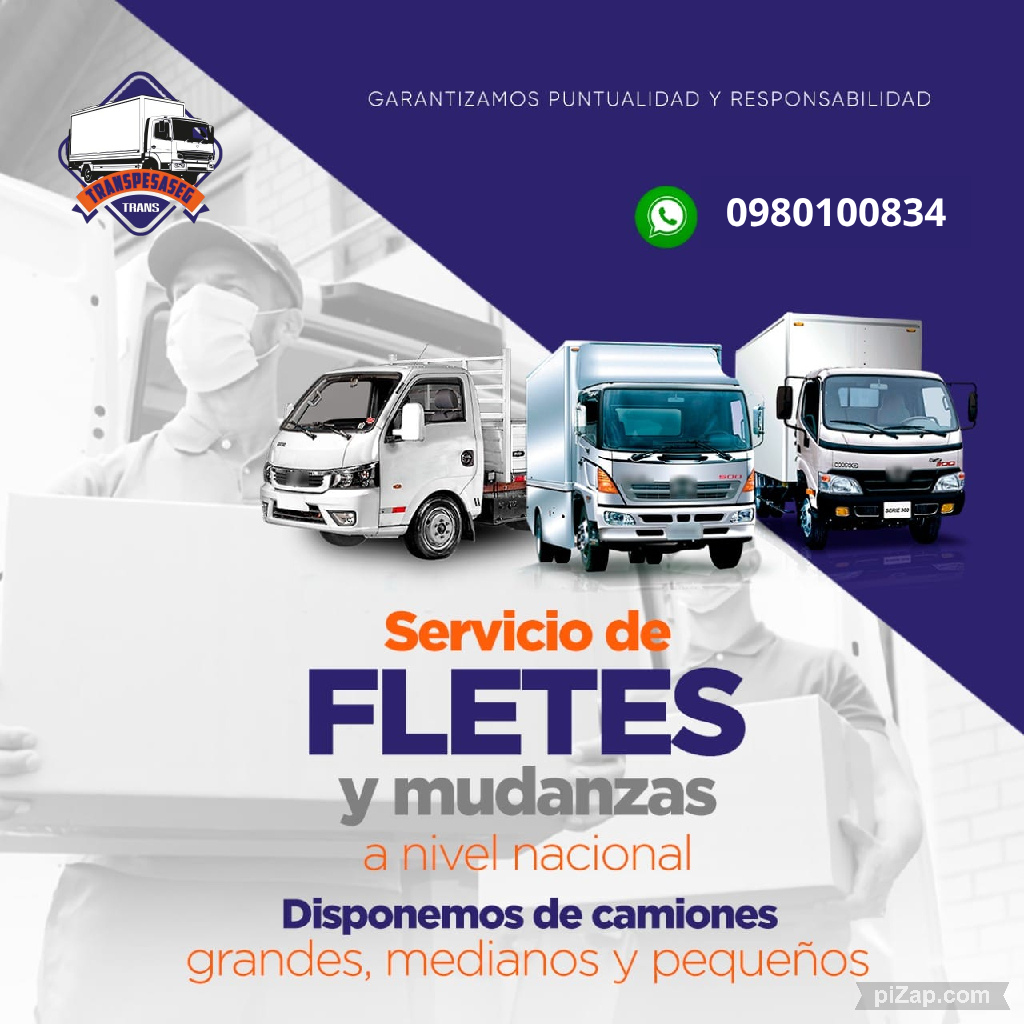 Equipo de mudanzas profesional